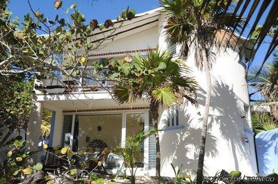טולום Las Ranitas Eco Boutique Hotel מראה חיצוני תמונה